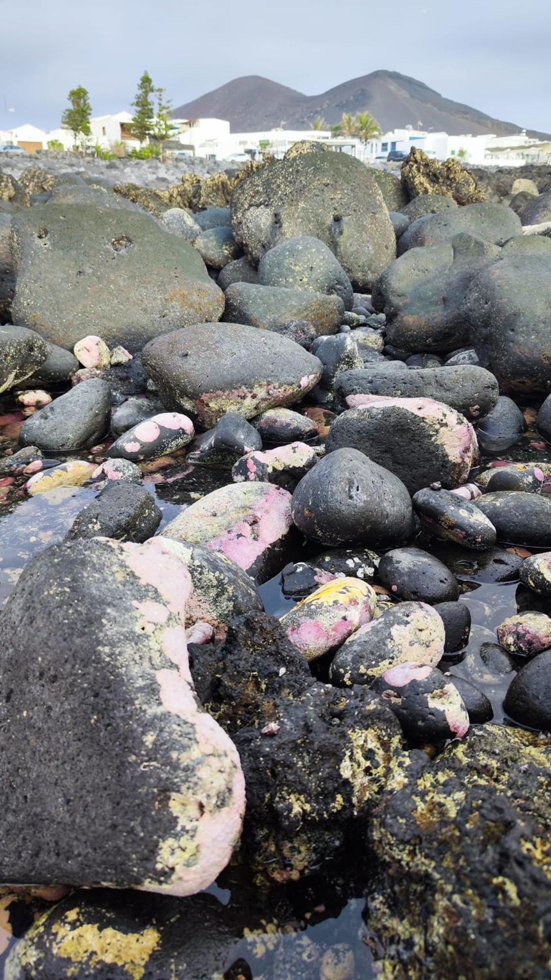 Casa La Caracola Lejlighed El Golfo Eksteriør billede